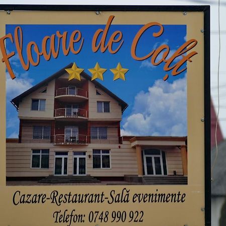 Floare De Colt Hotel Berbesti Екстериор снимка