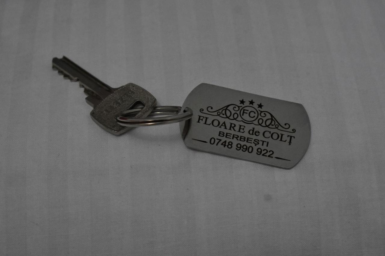 Floare De Colt Hotel Berbesti Екстериор снимка